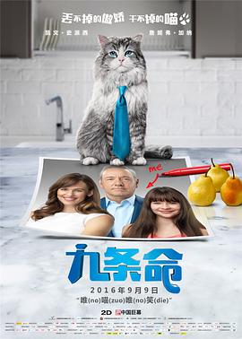 黄色一号视频