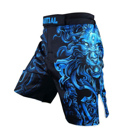 MMA Shorts